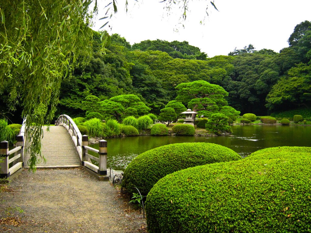 Shinjuku-Gyoen-National-Garden-7