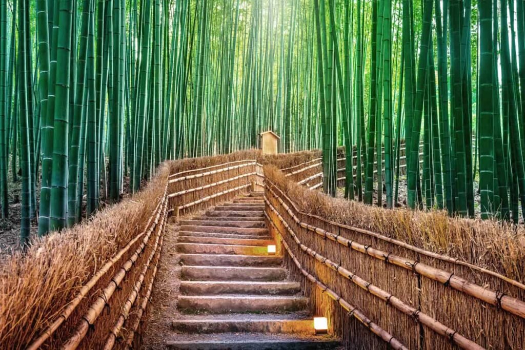 Arashiyama-Bamboo-Grove