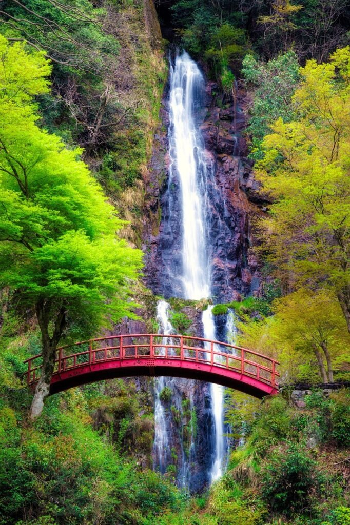 waterfall, bridge, trees, woods, forest, spring, japan, long exposure, gohou waterfalls, yaotsu, water, travel, vacation, holiday, nature, travel, travel, travel, travel, travel