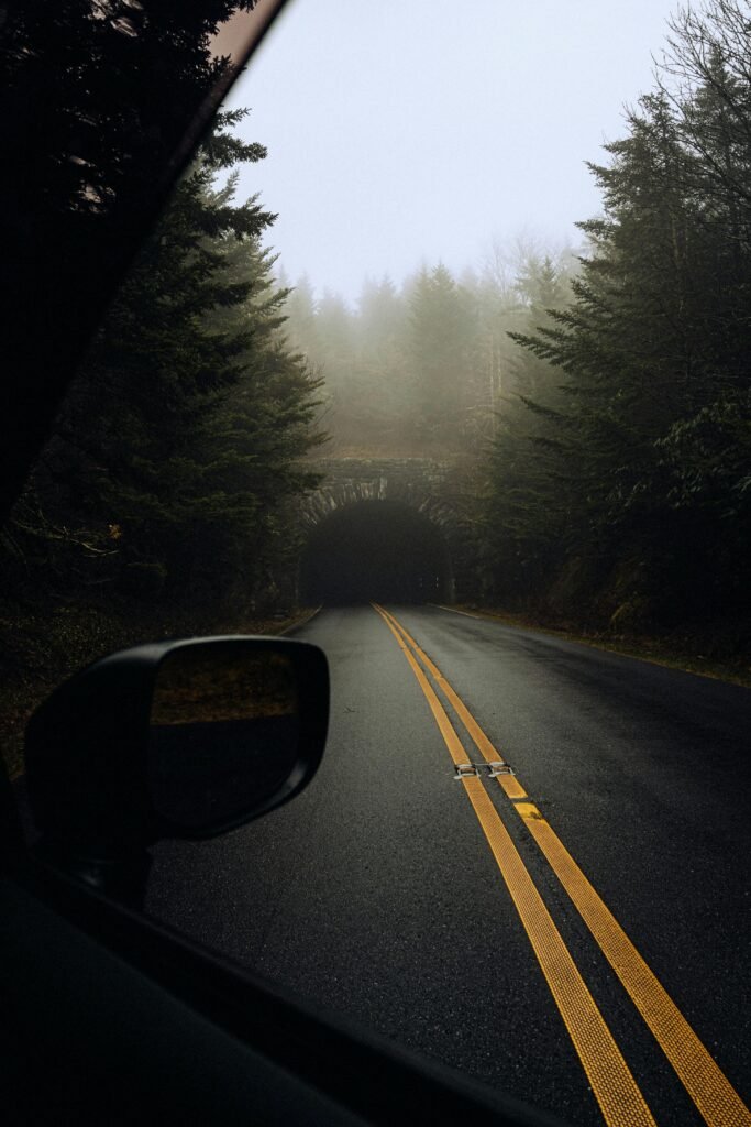 A foggy road through a forest leads to a mysterious tunnel, captured from a car window.