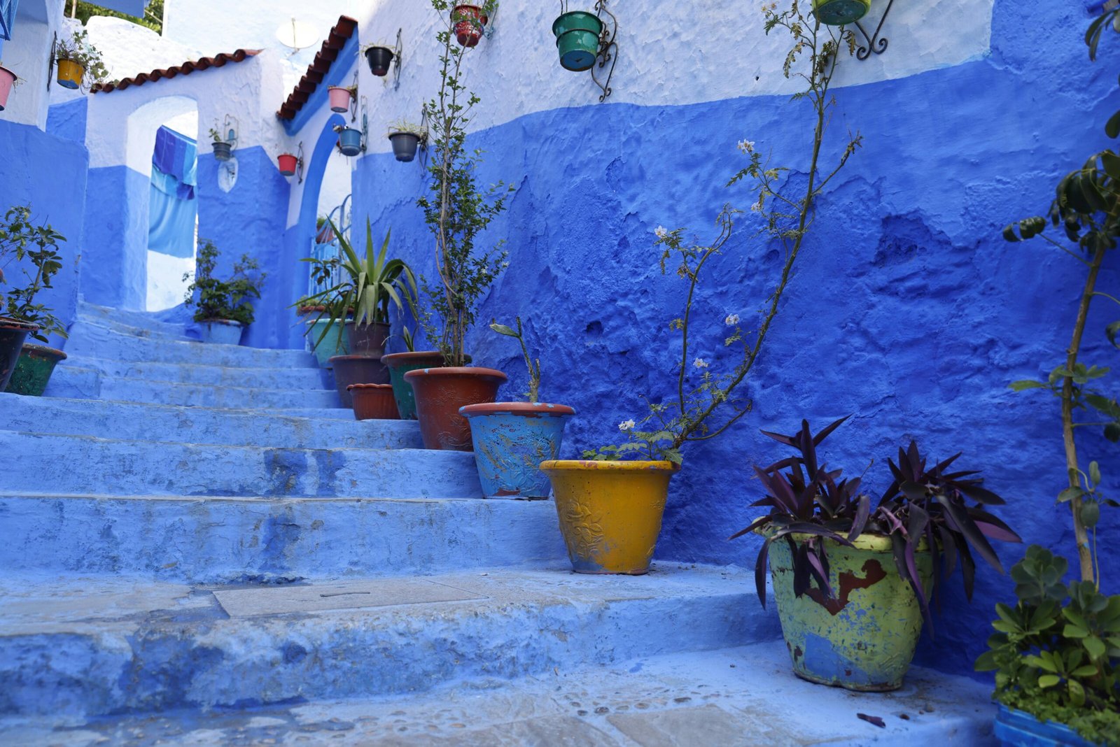 pexels-photo-18573926-18573926 Vibrant potted plants adorn the iconic blue steps of Chefchaouen, Morocco's picturesque town.