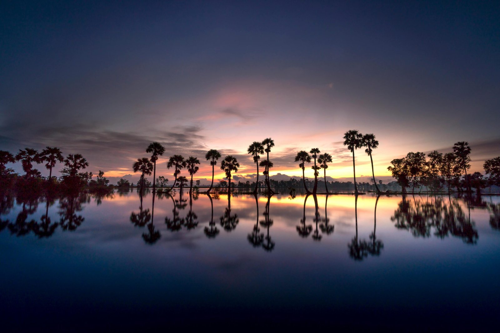 pexels-photo-2131623-2131623 A breathtaking sunset with palm trees reflecting in a serene lake, capturing nature's beauty.