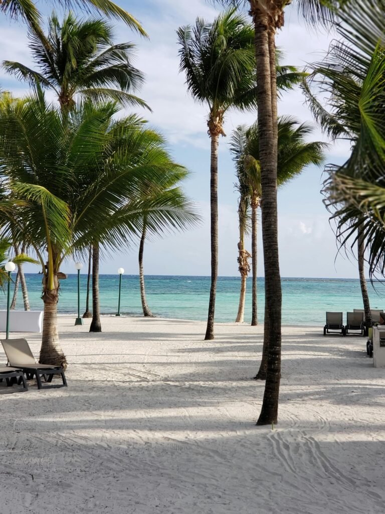 Relaxing tropical beach in Cancún with palm trees and sun loungers on the sandy shore.