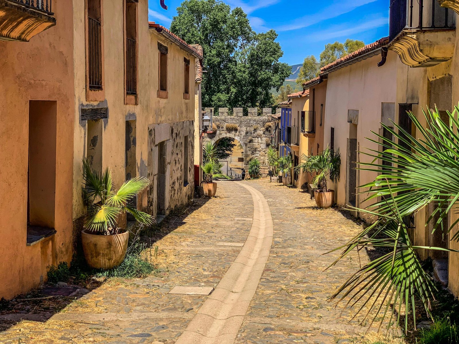 pexels-photo-31748642-31748642 Picturesque stone street with potted plants in a historic European village on a sunny day.