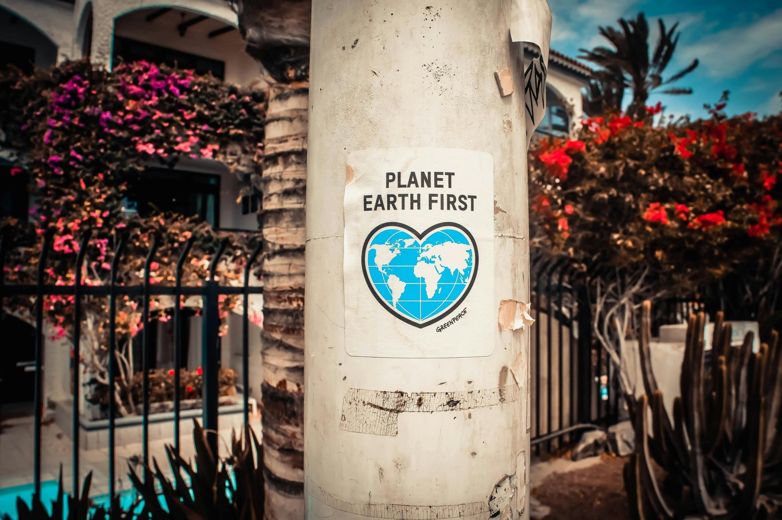 pexels-photo-3302183-3302183 A 'Planet Earth First' sticker on a pole in Las Palmas de Gran Canaria.