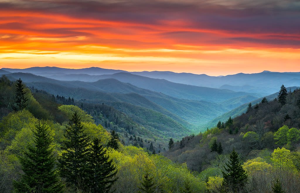 Mountain