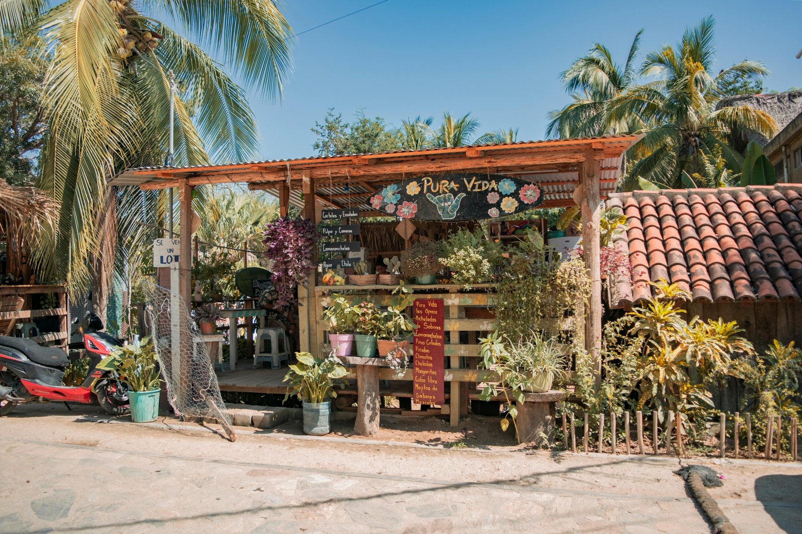 pexels-photo-12085574-12085574 Rustic bistro with lush greenery in Mazunte, Oaxaca, showcasing vibrant tropical plants.