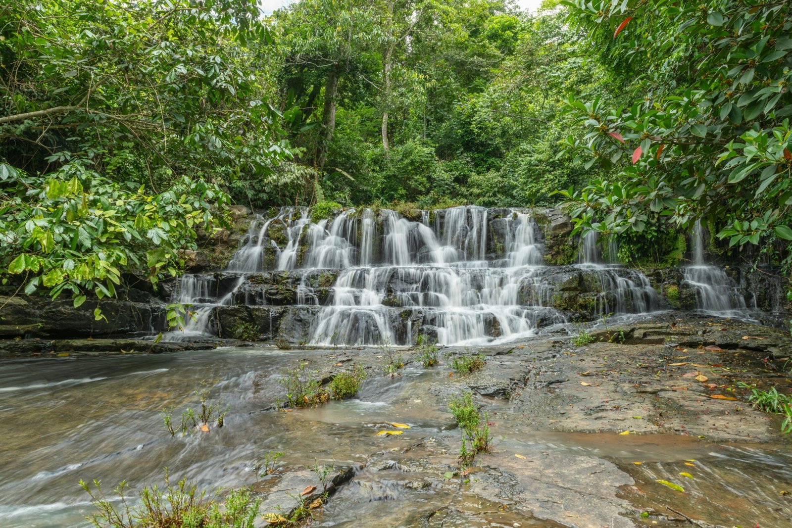 pexels-photo-32129164-32129164 Beautiful cascading waterfall surrounded by lush green rainforest in Costa Rica.