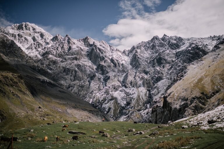 mountains, caucasus, nature, landscape, georgia, field, meadow, snow, scenery, mountains, mountains, mountains, caucasus, nature, landscape, landscape, georgia, georgia, georgia, georgia, georgia, snow, scenery