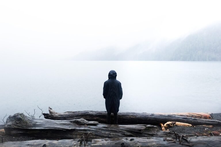 lake, logs, nature, person, solo, wooden logs, person, solo, solo, solo, solo, solo