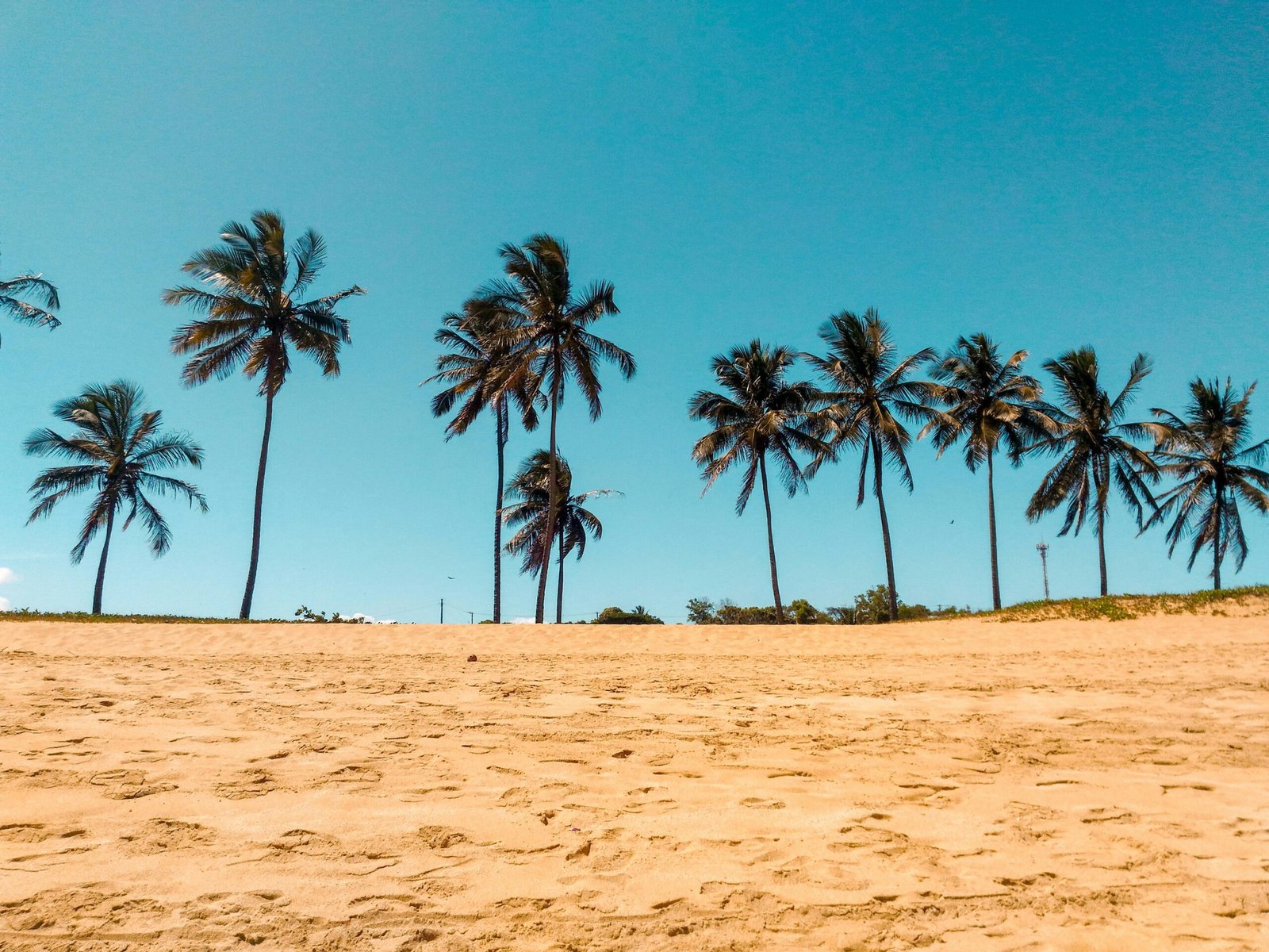 pexels-photo-1045113-1045113 Serene tropical beach with coconut palms under a clear blue sky in Brazil.