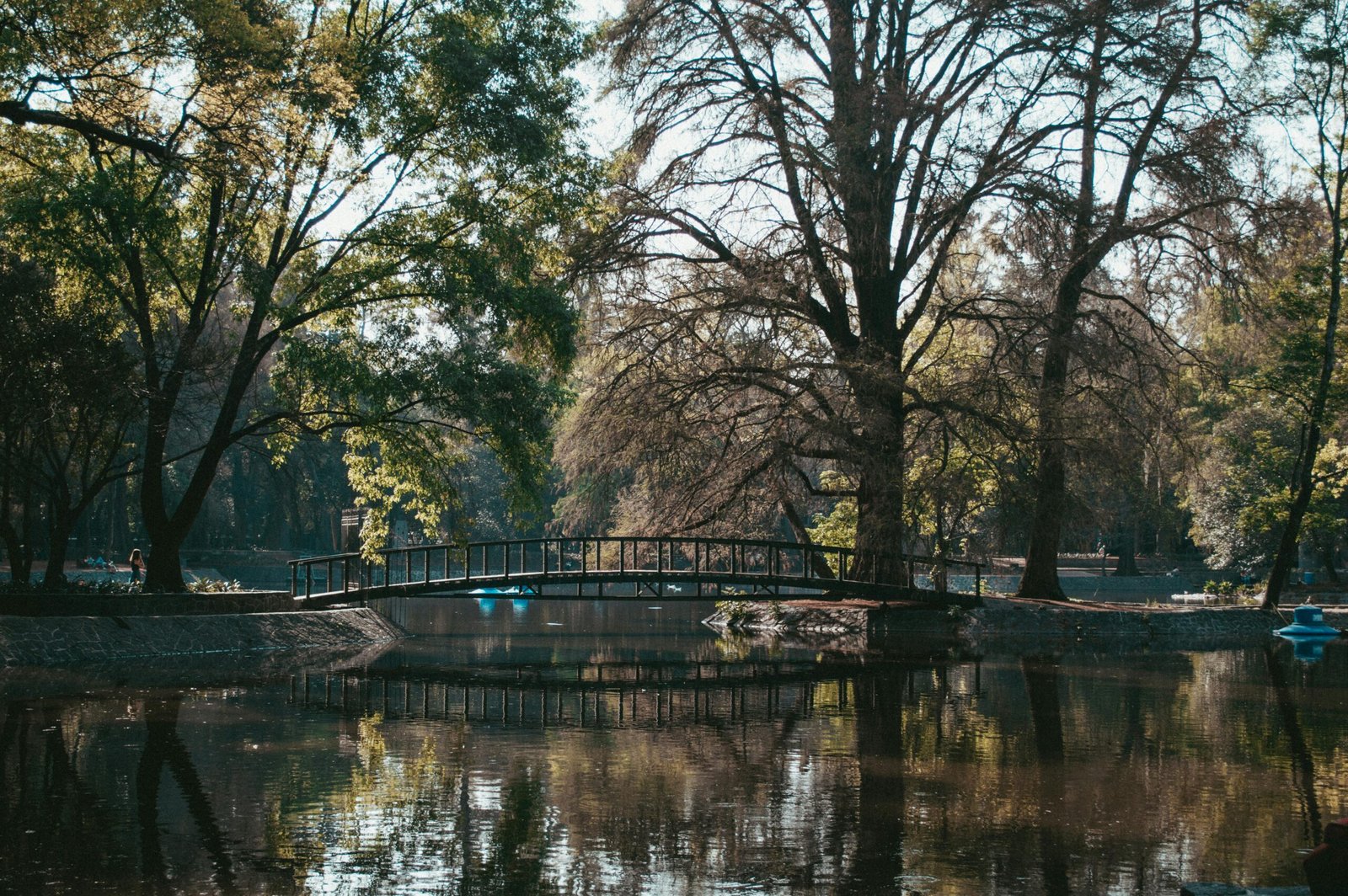 pexels-photo-13758291-13758291 Tranquil scene of a footbridge over a pond surrounded by lush trees in Chapultepec Park, Mexico City.