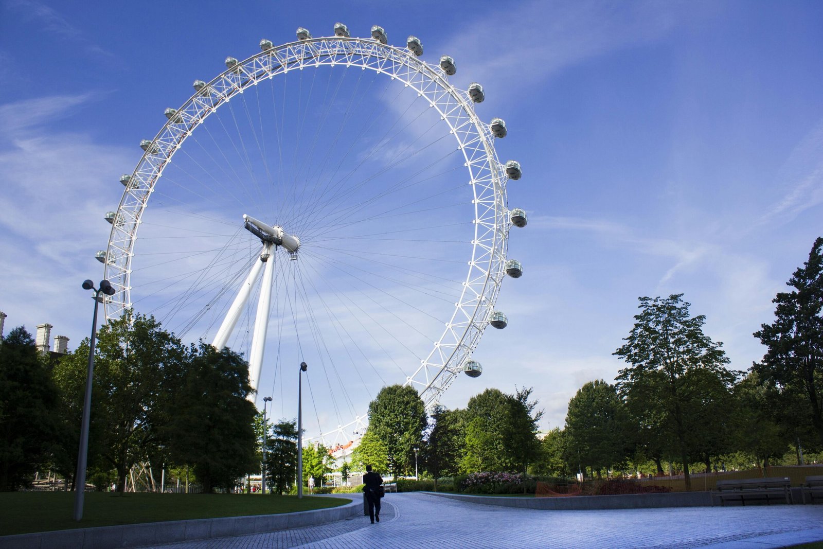 pexels-photo-260555-260555 Beautiful photo of the London Eye with lush greenery and a clear blue sky, perfect for travel and leisure themes.