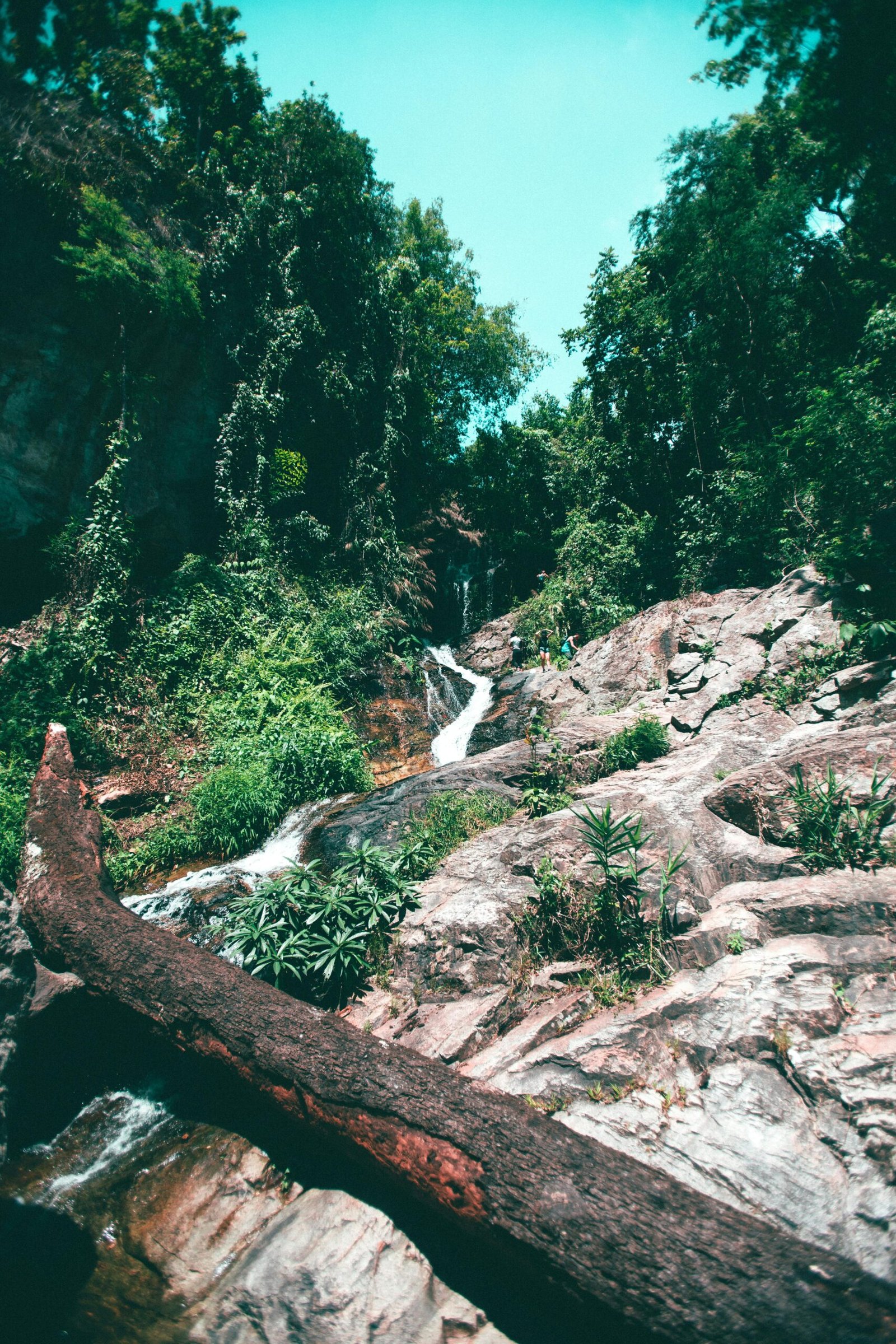 pexels-photo-2834794-2834794 Scenic waterfall in lush Chiang Mai jungle, perfect for serene outdoor imagery.