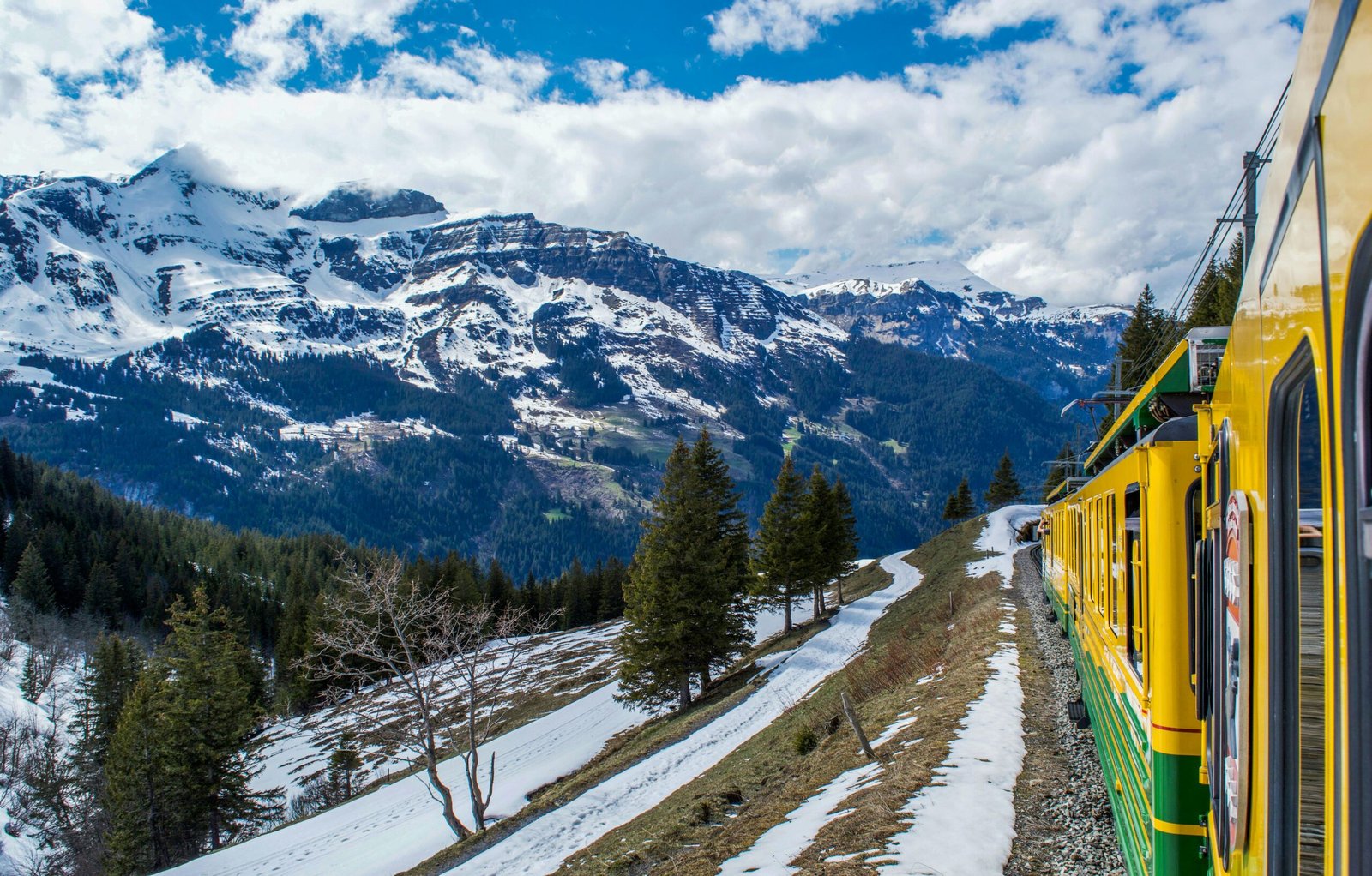 pexels-photo-5210476-5210476 Modern train riding on railroad through coniferous woods in snowy mountainous valley in Switzerland
