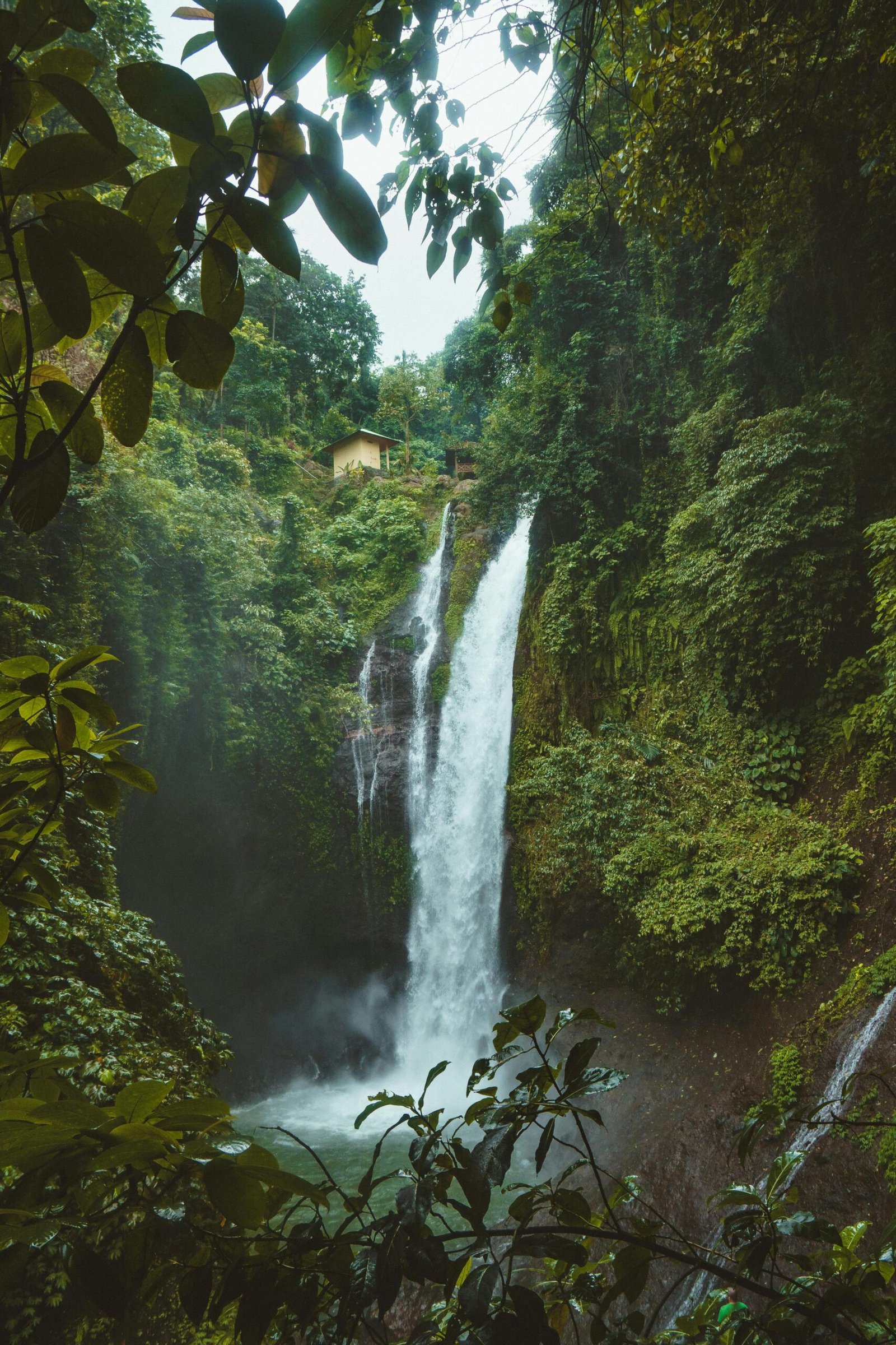 pexels-photo-931007-931007 Stunning waterfall in a lush tropical rainforest in Sukasada, Bali. Perfect for nature lovers.