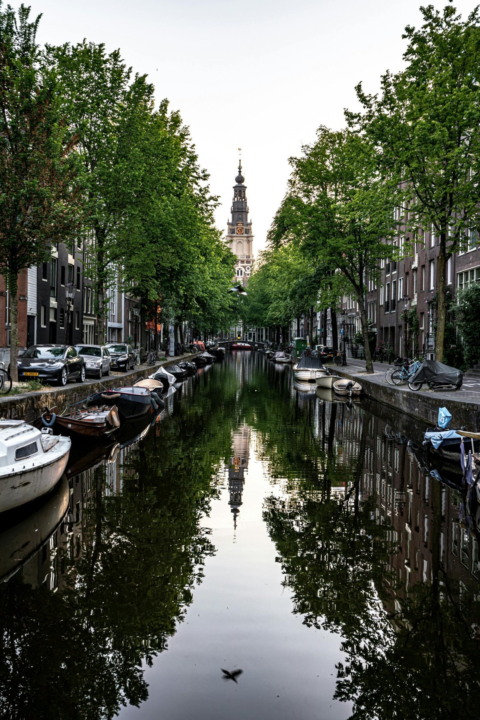 Peaceful Amsterdam canal view with docked boats, green trees, and historic church reflection in the water.