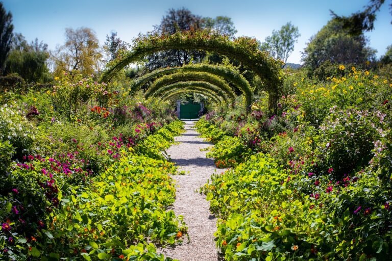 monet at giverny, garden, beautiful flowers, flower wallpaper, flower background, monét, nature, flowers