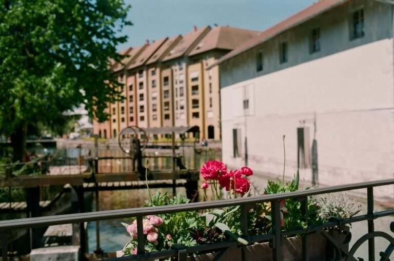 Picturesque floral display overlooking a canal in Annecy, France, under summer sunlight.